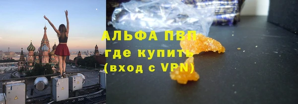 ПСИЛОЦИБИНОВЫЕ ГРИБЫ Богданович